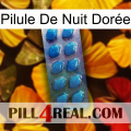 Pilule De Nuit Dorée viagra1